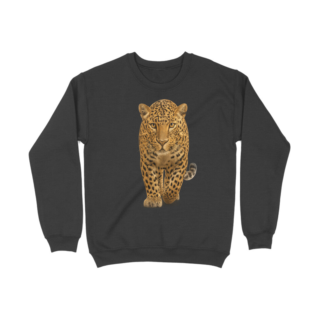 Front View - 5773554