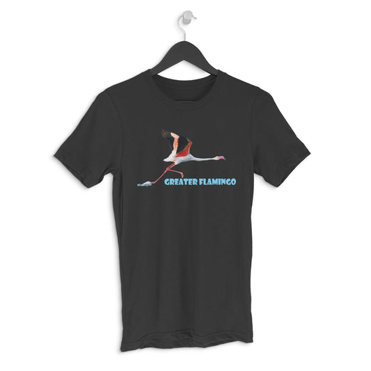 Front View - 5636923