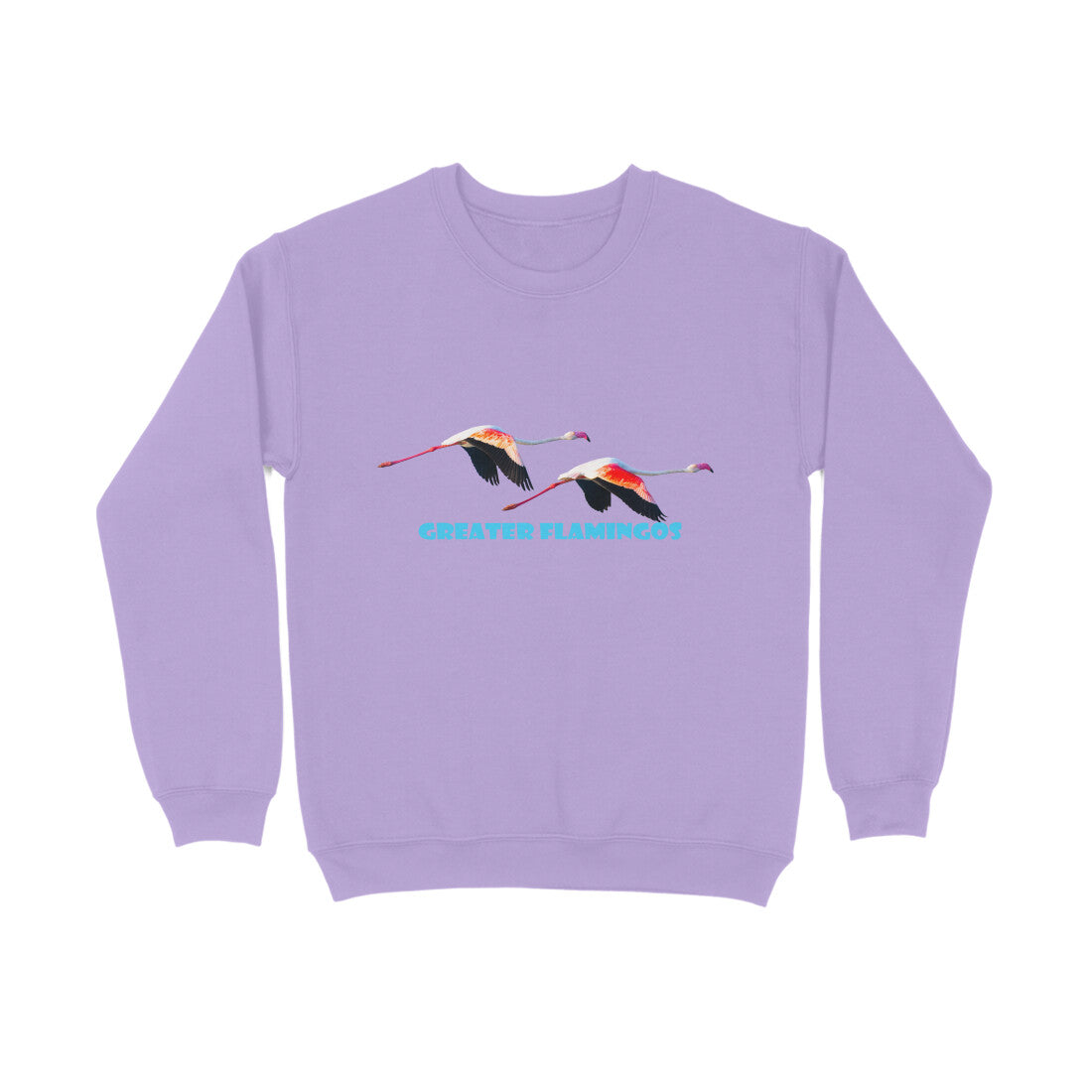 Front View - 5732245