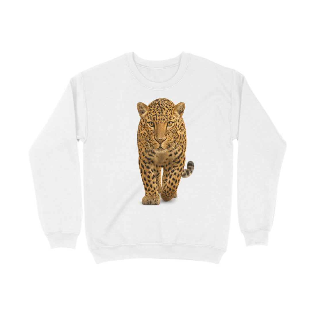 Front View - 5773551