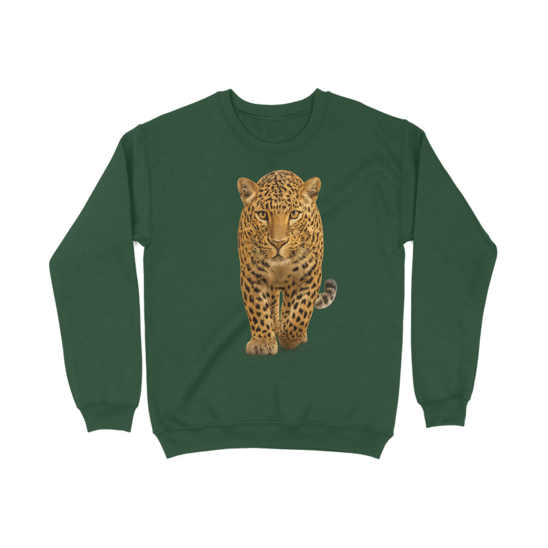 Front View - 5773552