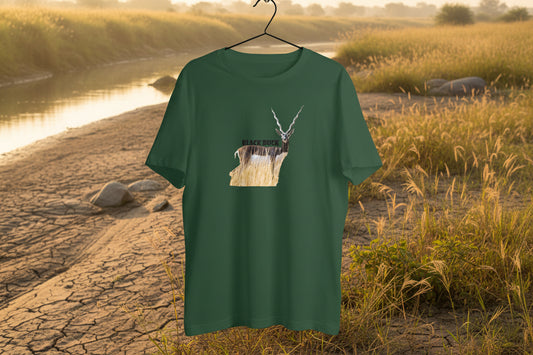 Front View - 5899344