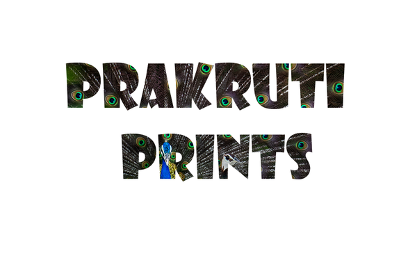 prakrutiprints